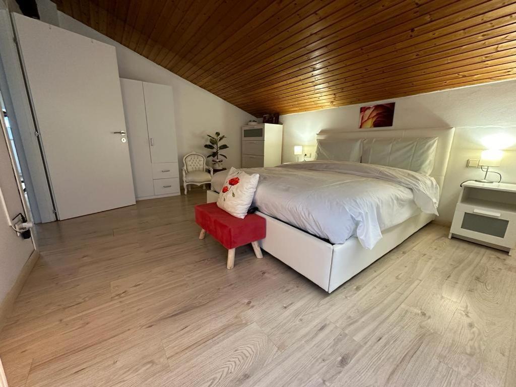 Plose Panorama House Lejlighed Bressanone Eksteriør billede