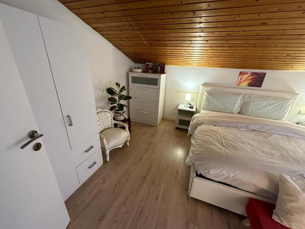 Plose Panorama House Lejlighed Bressanone Eksteriør billede